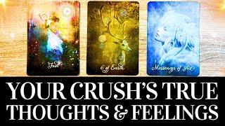 PICK A CARD  Your Crushs TRUE Feelings & Thoughts About You  Timeless Love Tarot Reading