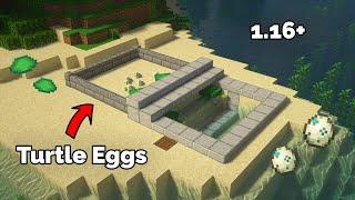 Minecraft How To Make a Turtle Farm Scute & Eggs Tutorial 1.18+