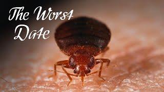 Bed Bugs Worse Than You Thought