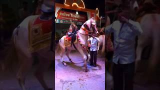  Horse Dance to  Dhol Tasha Beats  #shorts