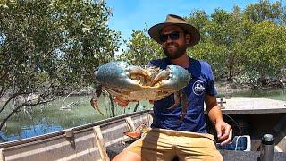 MUDCRAB CATCH AND COOK Chilli mudcrab with Harry from Fire to Fork Ep - 22