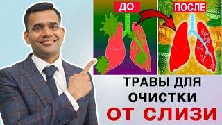 5 Продуктов Для Здоровья Легких Очищения От Слизи И Уничтожения Вирусов