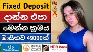 ස්තාවර තැන්පතු දාන්න එපා Fixed deposit interest rates  fd rates in sri lanka 2024  money market