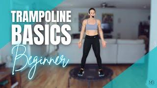 Trampoline Basics 15 MIN Rebounder Workout  Beginner Cardio