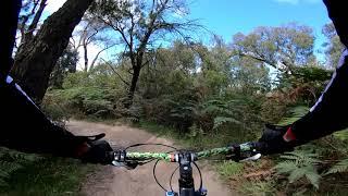 Lysterfield Mountain biking - Track Short and Sweet with gopro hero 7 and feiyutech gimbal
