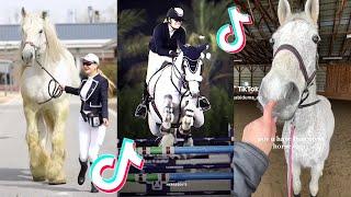 The Best HORSE TikTok Compilation #175