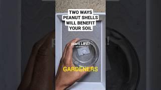 Peanut shells are good for soil – #gardening #gardeningtips #gardenhacks