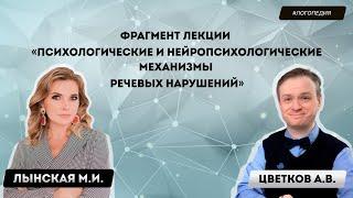 Фрагмент бинарной лекции логопеда Лынской М.И. и нейропсихолога Цветкова А.В.