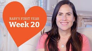 20 Week Old Baby - Your Baby’s Development Week by Week