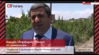 2015  թվականի  տասը  բոցերը