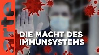 Unser Immunsystem - Wächter der Gesundheit  Doku HD  ARTE