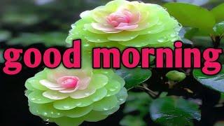 very good morning stetus images for whatsappphoto editingphotography##beautifulimages