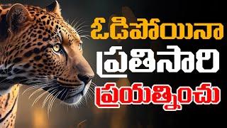 ఎక్కడ ఓడిపోయావో అక్కడే తిరిగి ప్రయత్నించు  Million Dollar Words #203   Voice Of Telugu