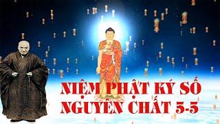 A DI ĐÀ PHẬT niệm Phật nguyên chất 5-5  phương pháp thập niệm theo TỔ ẤN QUANG