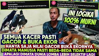 INI PERTANYAAN PALING LOGIS SEPANJANG MASA DUNIA KACER ⁉️ BENARKAH KACER GACOR BUKA EKOR..?