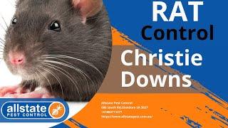 Rat Control Christie Downs