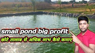 Chhota Talab mein big profit Kaise nikale  small pond profitable fish farming business in india