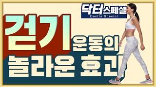 당신의 인생을 바꾸는 걷기 운동의 놀라운 효과