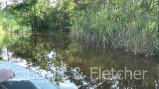 Crocodile trap Malaysia. 20120426_162848.mp4