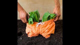 Kiat berkebun cerdas yang wajib kamu tahu #shorts