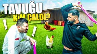 TAVUĞU KİM ÇALDI?  ÖZLENEN ANADOLU OYUNU