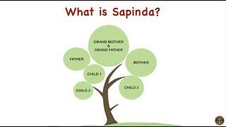 What is Sapinda?