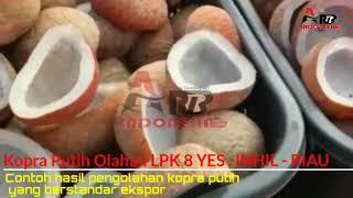 Sempel Kopra Putih yang Dibandrol Harga Fantastis