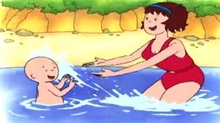 Caillou en Español  Caillou y el Lago del Bosque  Dibujos animados  Dibujos Infantiles