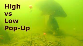 Underwater carp camera - High vs Low Pop Up test  Cloudy water.