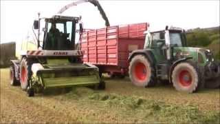 Silage 2013