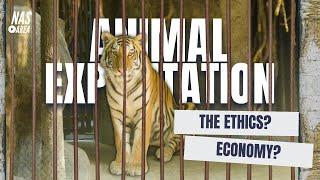 Animal Exploitation The Ethics Economy and Environment?