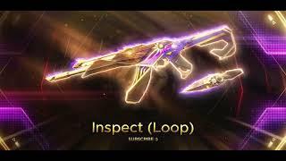 Valorant Champions 2023 Vandal Inspect 1 Hour  Loop