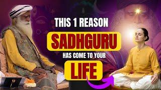 MUST WATCH  THIS 1 REASON SADHGURU HAS COME TO OUR LIFE