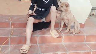 Beautiful Single Mom -- playing with dogs very happy beauty full