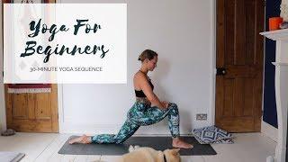 YOGA FOR COMPLETE BEGINNERS  30-Minute Yoga  CAT MEFFAN