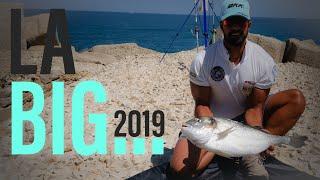 #3  LA BIG ORATA  Pesca all Orata  Rockfishing  AGOSTO 2019  PUGLIA