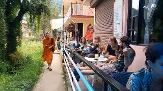 Walking in  Dharamkot  Main Market   McleodGanj  Himachal Pradesh  India  4k  60fps