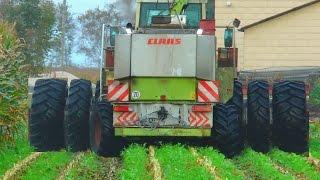 CLAAS JAGUAR 860 mit Doppelbereifung im Moor für Biogas Schainbach