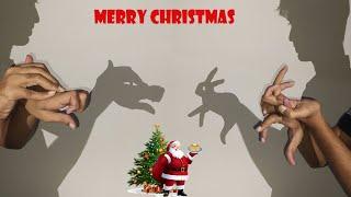 Wild Animals Are Celebrating Christmas  Merry Christmas 2023