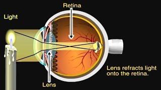 How the Eye Works Animation - How Do We See Video - Nearsighted & Farsighted Human Eye Anatomy