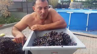 Vodka from GRAPES. part 1. ENG SUB