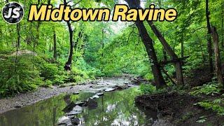 Midtown Ravine Adventure with no umbrella  Toronto Walk May 2024