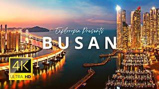 Busan South Korea  4K UHD 60FPS Drone View  Never Seen Before Epic 4K Busan Timelapse