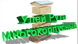 Профессор Кашковский про улей Рута многокорпусный