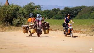 Burma Bagan  The City of 3000 Temples