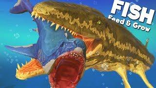 *NEW* PREHISTORIC PROGNATHODON IS THE ULTIMATE PREDATOR  Feed and Grow Fish