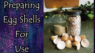 Preparing Egg Shells For Their Many Uses