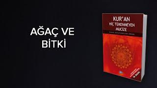 AĞAÇ VE BİTKİ Kuranda Kelime Uyumlarındaki Matematiksel Mucizeler