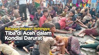 185 Imigran Rohingya Terdampar di Aceh dengan Kondisi Memprihatinkan