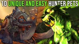 10 Unique AND Easy Hunter Pets in World of Warcraft
